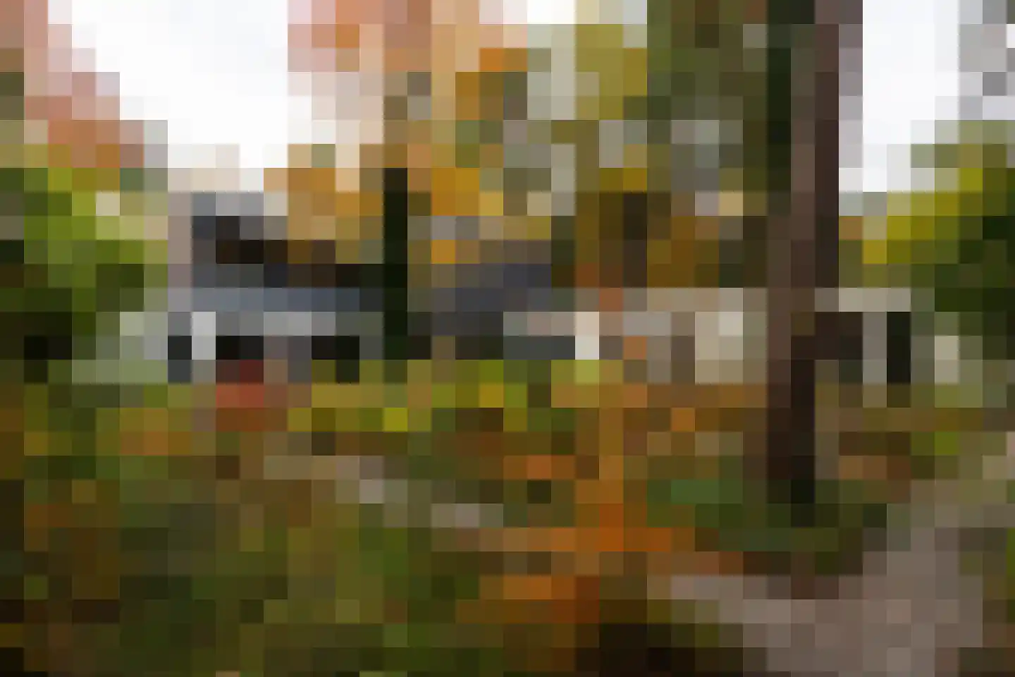 Juliana van Stolberglaan 9 Eerbeek thumbnail 96