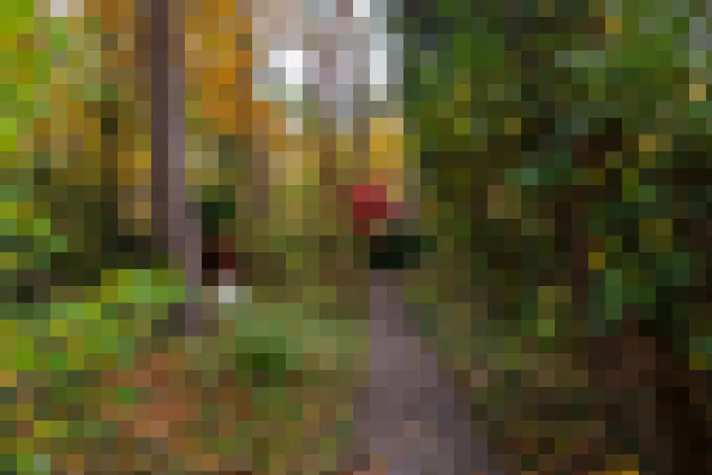 Juliana van Stolberglaan 9 Eerbeek thumbnail 97