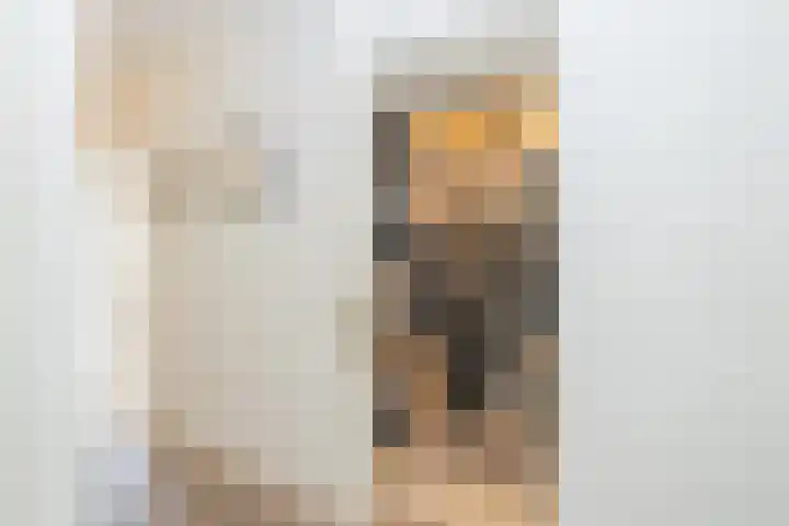 Juliana van Stolberglaan 9 Q Den Haag thumbnail 14