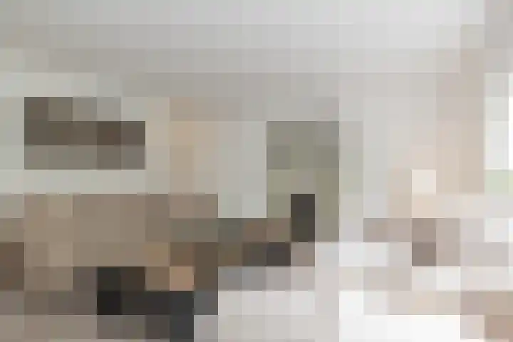 Juliana van Stolberglaan 9 Q Den Haag thumbnail 17