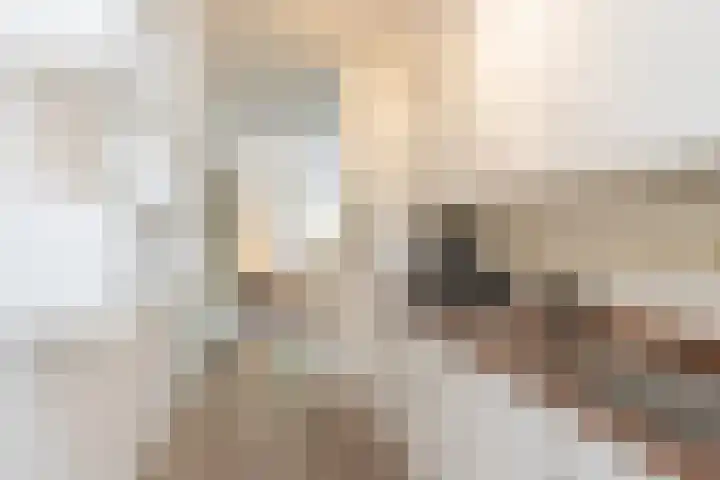 Juliana van Stolberglaan 9 Q Den Haag thumbnail 21