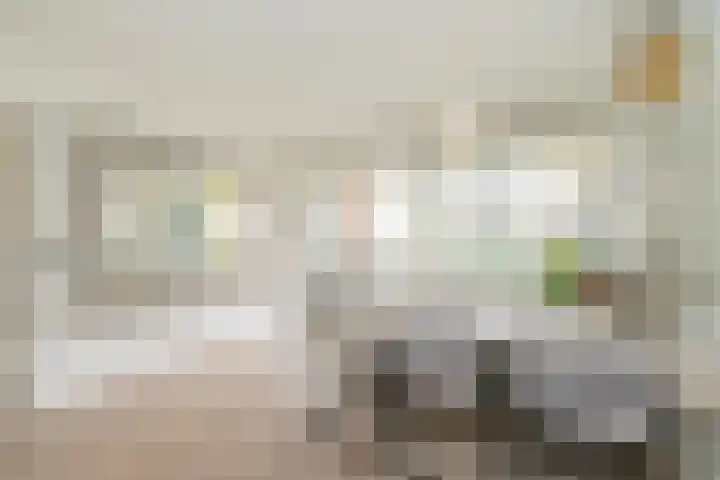 Juliana van Stolberglaan 9 Q Den Haag thumbnail 23