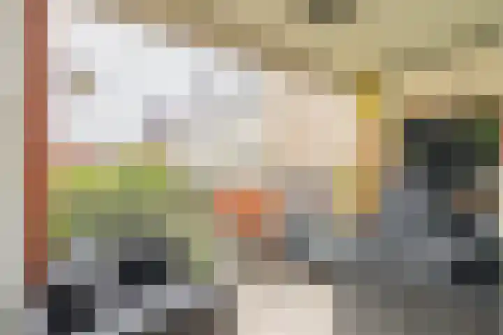 Juliana van Stolberglaan 9 Q Den Haag thumbnail 27