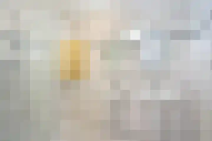 Juliana van Stolberglaan 9 V Den Haag thumbnail 19