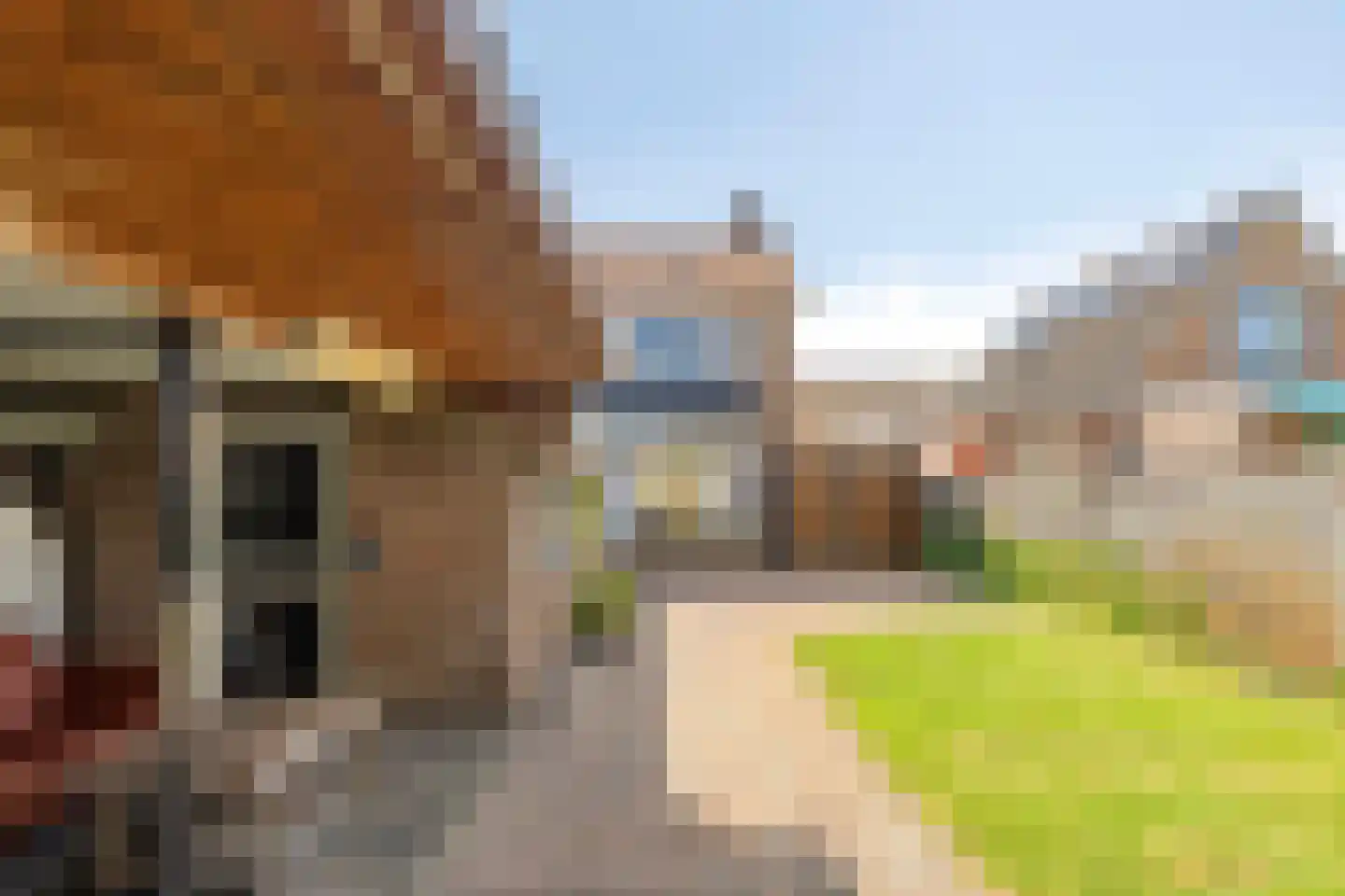 Juliana van Stolbergstr 23 Poederoijen thumbnail 12