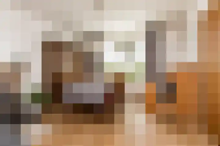 Juliana van Stolbergstr 8 Poederoijen thumbnail 13