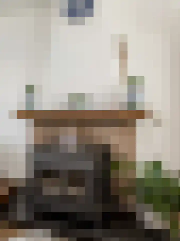 Juliana van Stolbergstr 8 Poederoijen thumbnail 14