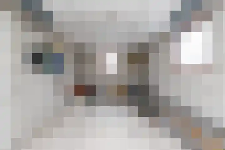 Juliana van Stolbergstr 8 Poederoijen thumbnail 21