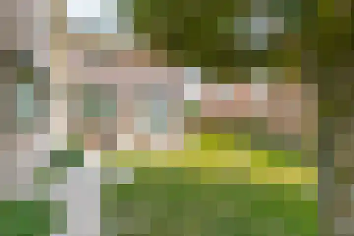 Juliana van Stolbergstr 8 Poederoijen thumbnail 46