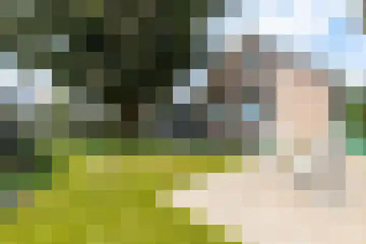 Juliana van Stolbergstr 8 Poederoijen thumbnail 51