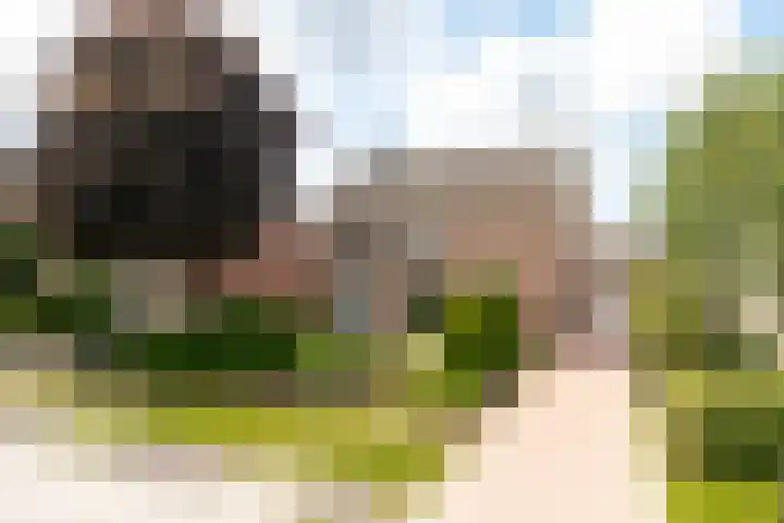 Juliana van Stolbergstr 8 Poederoijen thumbnail 56