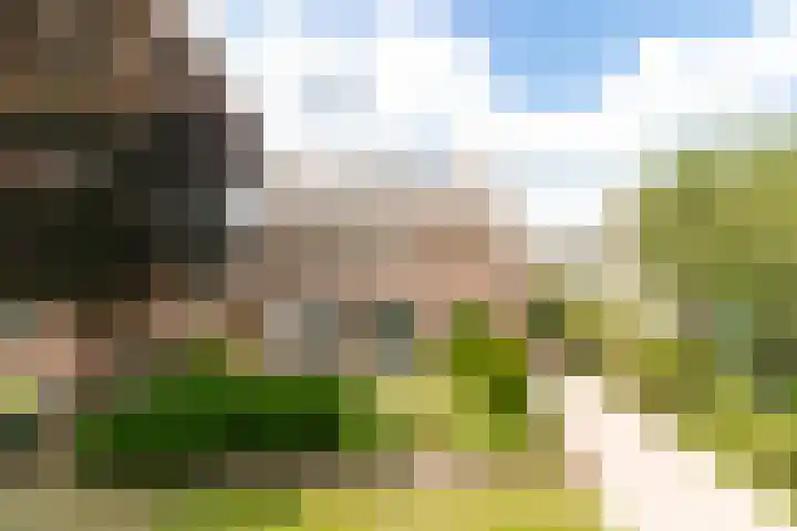 Juliana van Stolbergstr 8 Poederoijen thumbnail 57