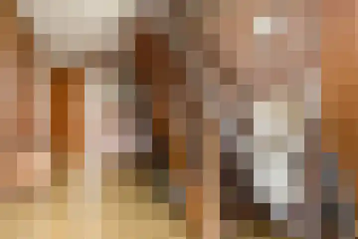 Juliana van Stolbergstr 8 Poederoijen thumbnail 7