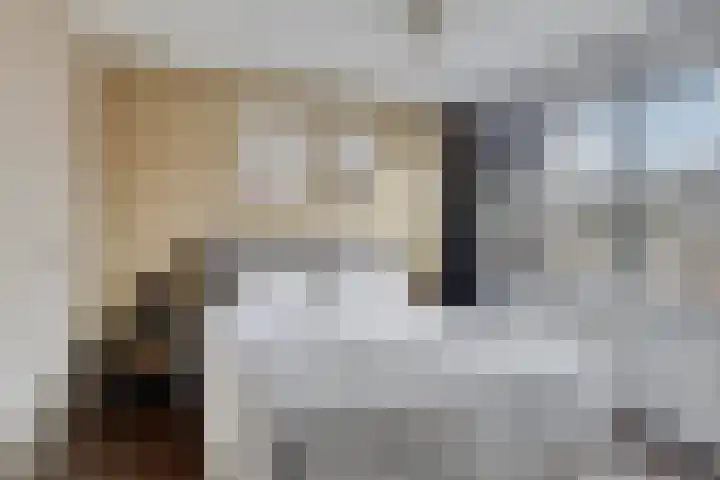 Juliana van Stolbergstraat 10 Castricum thumbnail 22