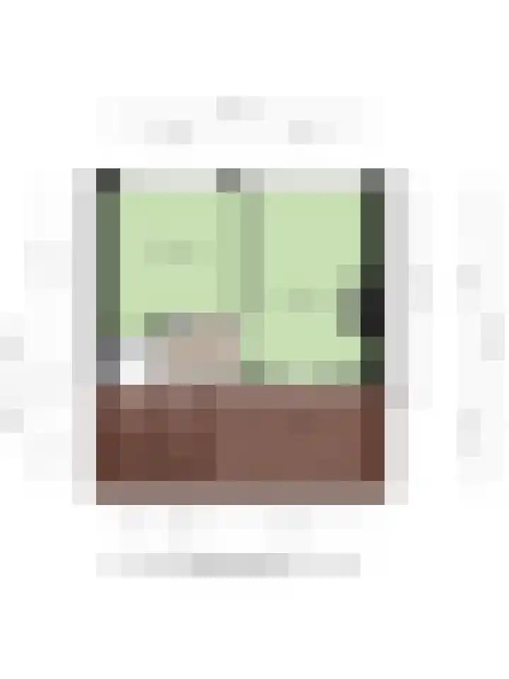 Juliana van Stolbergstraat 10 Castricum thumbnail 34