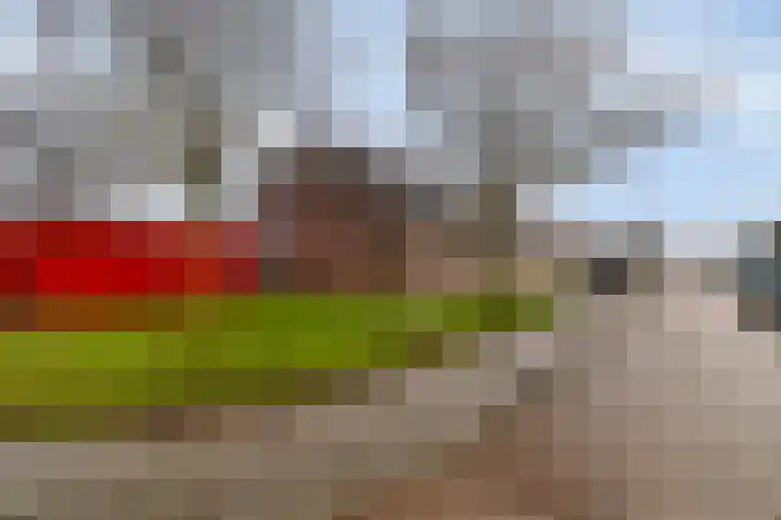 Juliana van Stolbergstraat 10 Castricum thumbnail 38