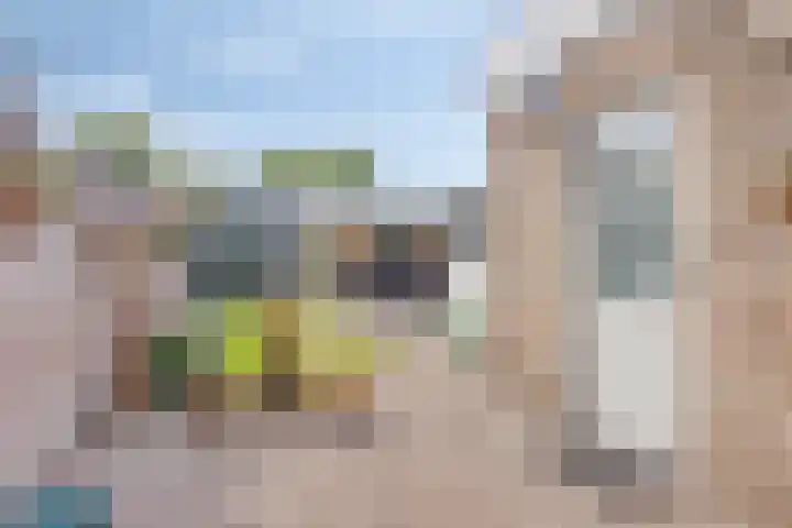Juliana van Stolbergstraat 11 Drunen thumbnail 24