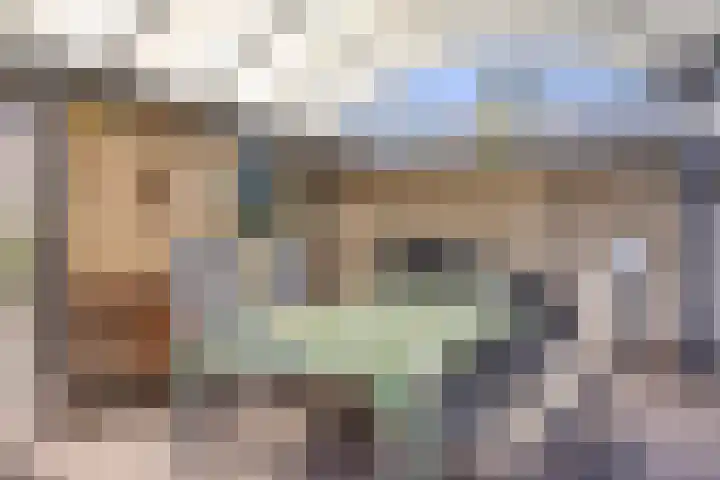 Juliana van Stolbergstraat 11 Drunen thumbnail 27