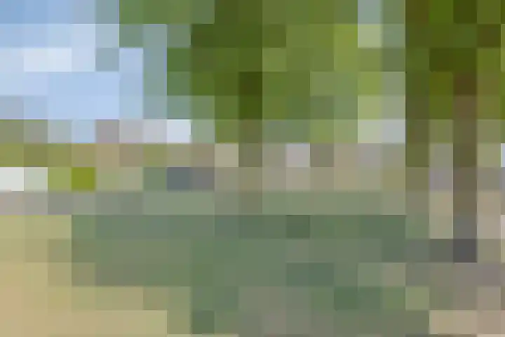 Juliana van Stolbergstraat 11 Drunen thumbnail 32
