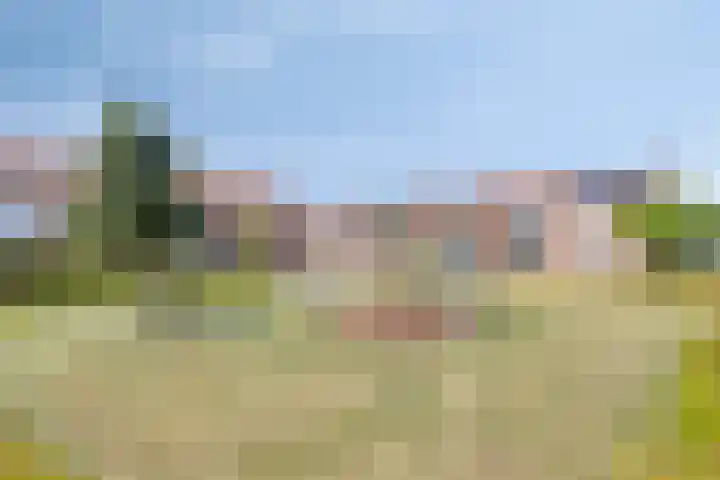 Juliana van Stolbergstraat 11 Drunen thumbnail 33