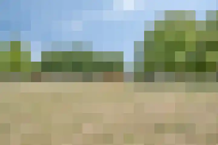 Juliana van Stolbergstraat 11 Drunen thumbnail 34