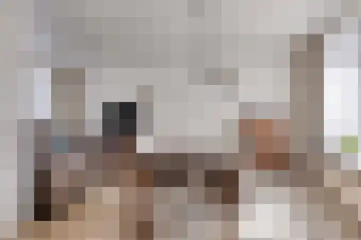 Juliana van Stolbergstraat 11 Drunen thumbnail 5