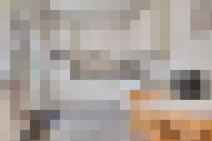 Juliana van Stolbergstraat 11 Drunen thumbnail 7
