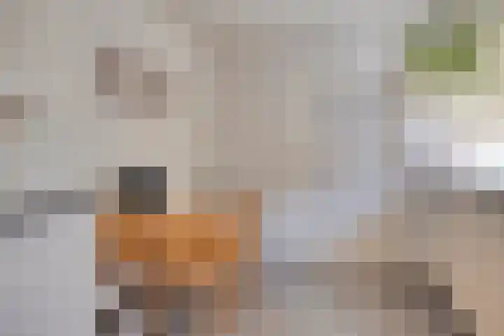 Juliana van Stolbergstraat 11 Drunen thumbnail 9