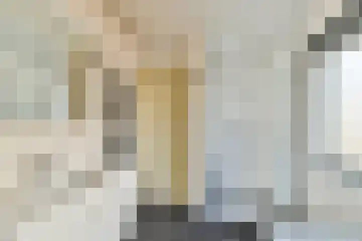 Juliana van Stolbergstraat 11 Schiedam thumbnail 4