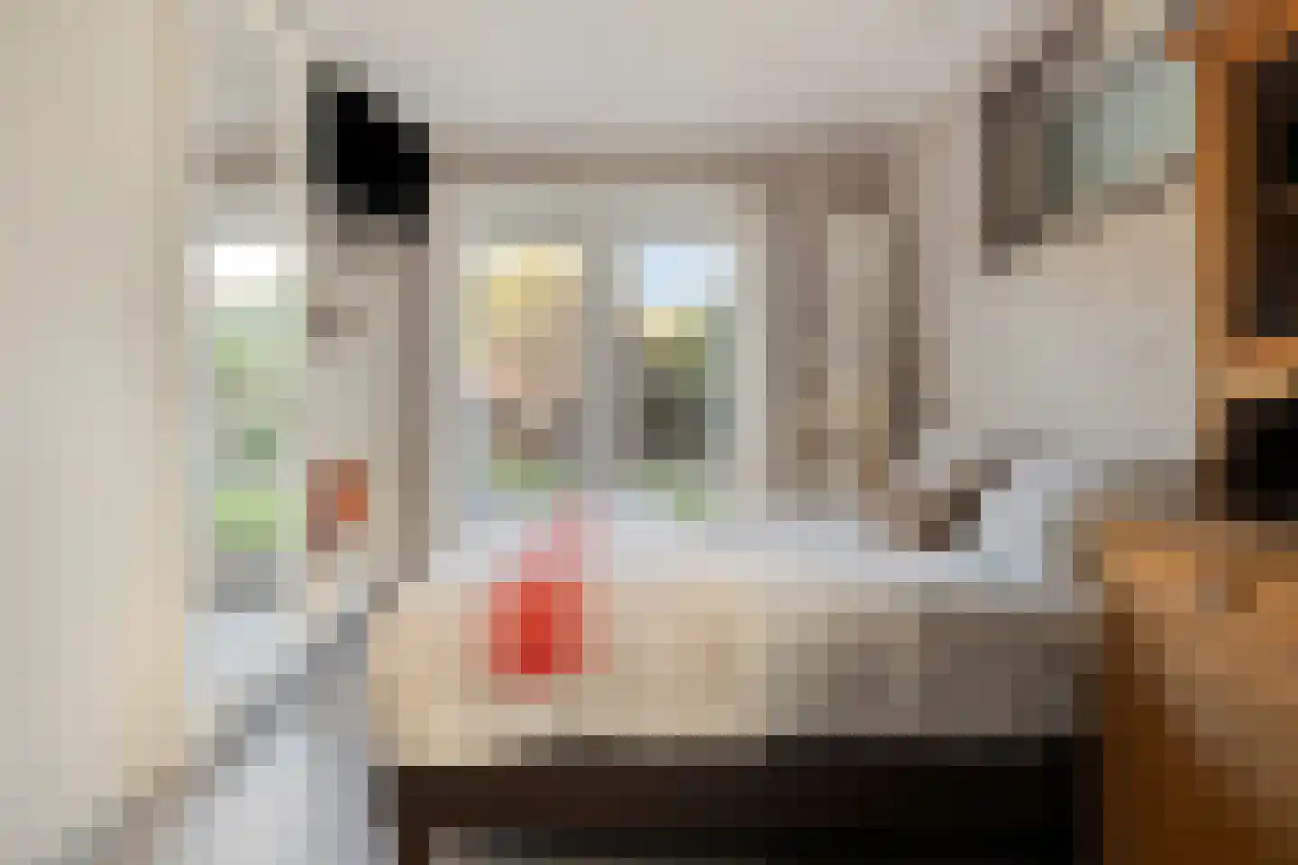 Juliana van Stolbergstraat 14 Terneuzen thumbnail 10