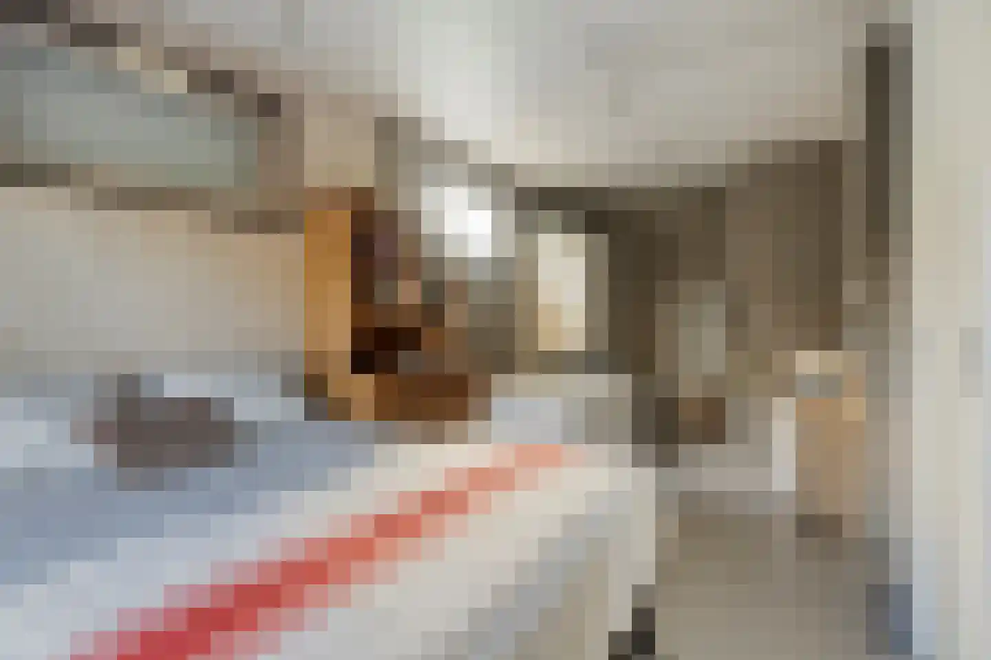 Juliana van Stolbergstraat 14 Terneuzen thumbnail 11