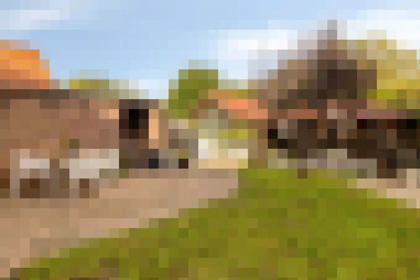 Juliana van Stolbergstraat 14 Terneuzen thumbnail 17