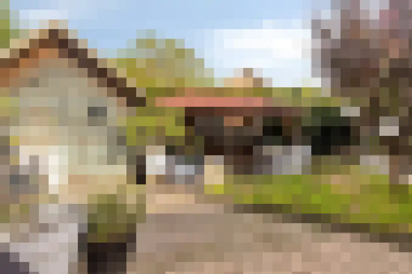 Juliana van Stolbergstraat 14 Terneuzen thumbnail 19