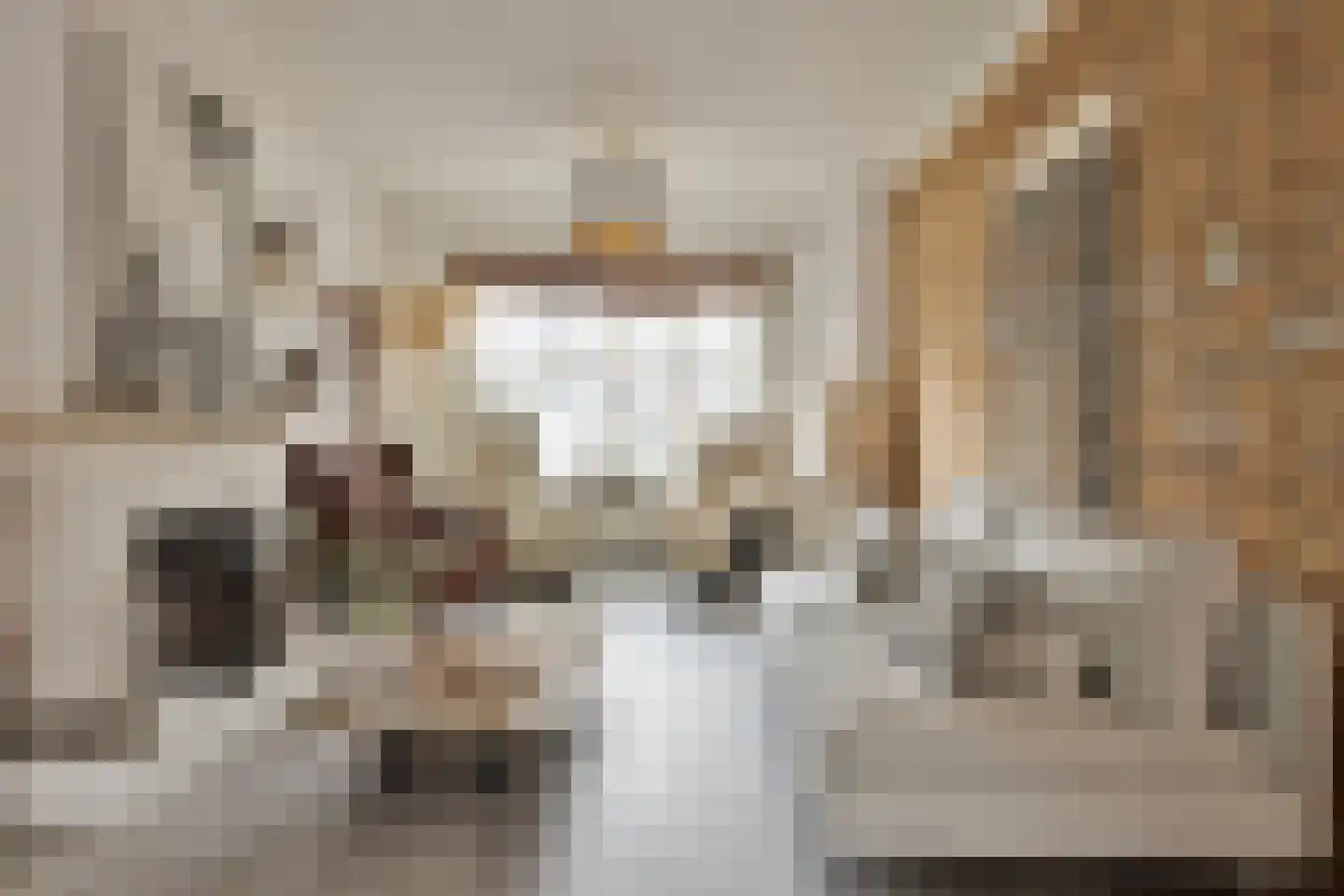 Juliana van Stolbergstraat 14 Terneuzen thumbnail 4