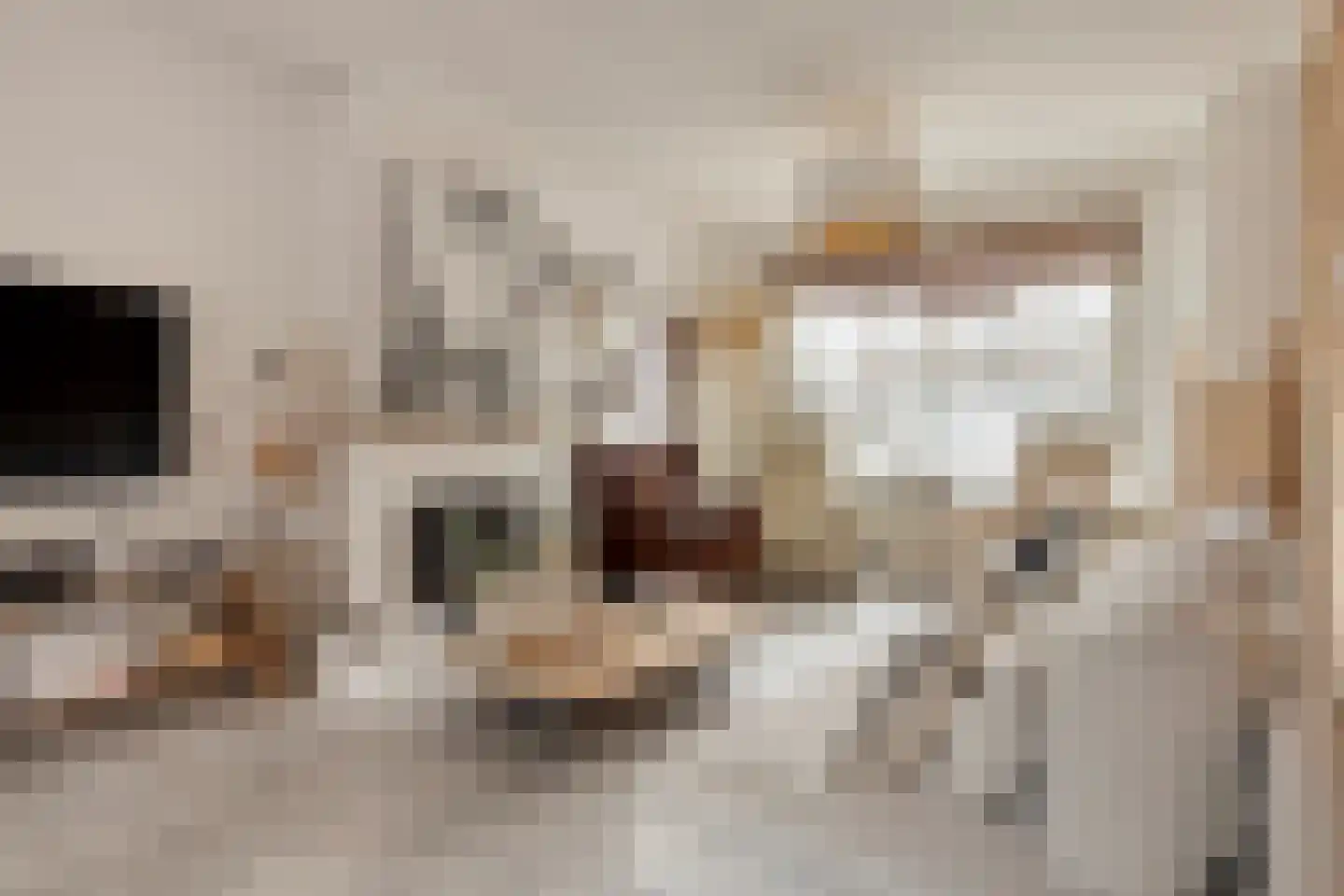 Juliana van Stolbergstraat 14 Terneuzen thumbnail 5
