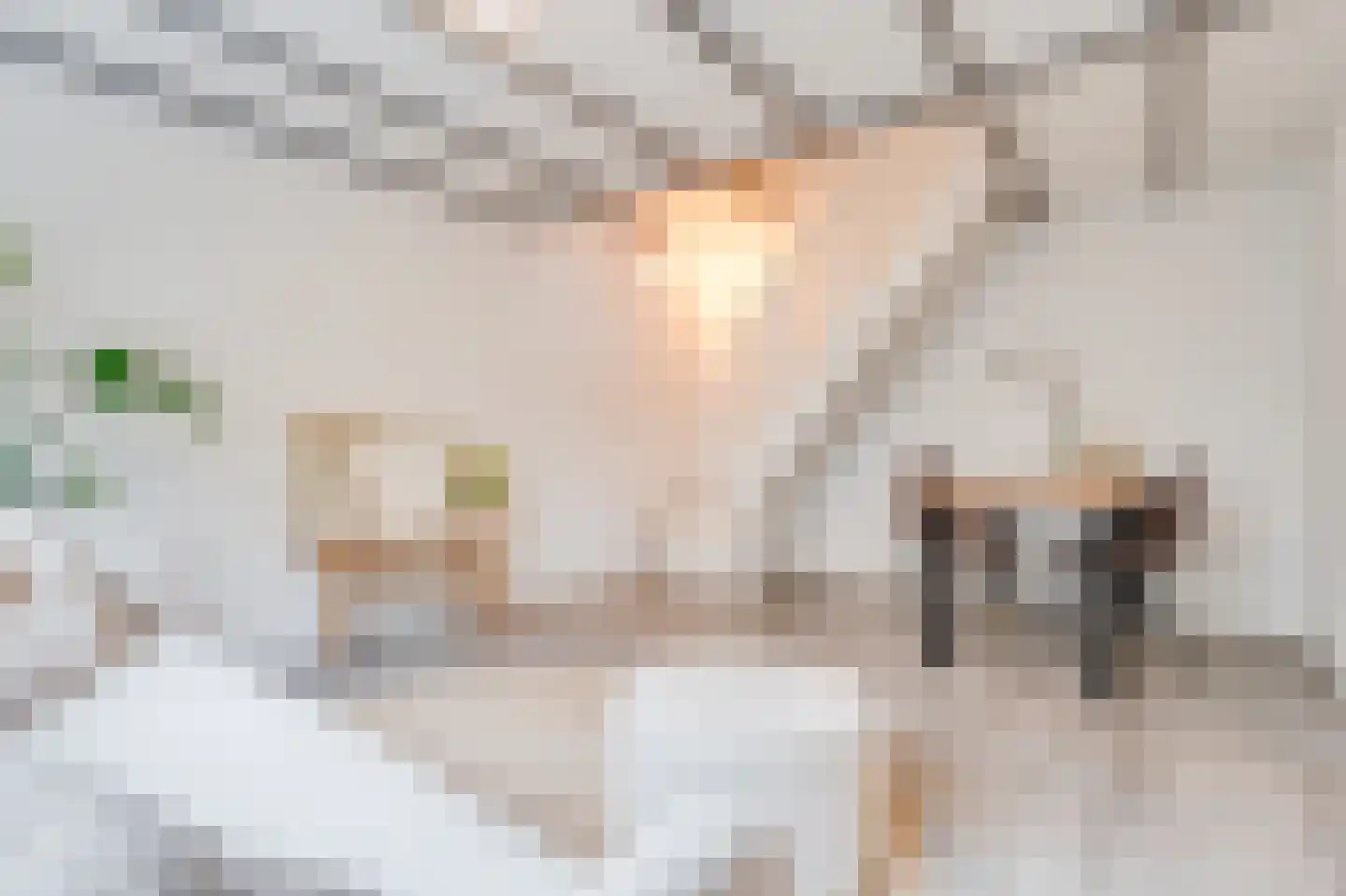 Juliana van Stolbergstraat 15 A Noord-Scharwoude thumbnail 5