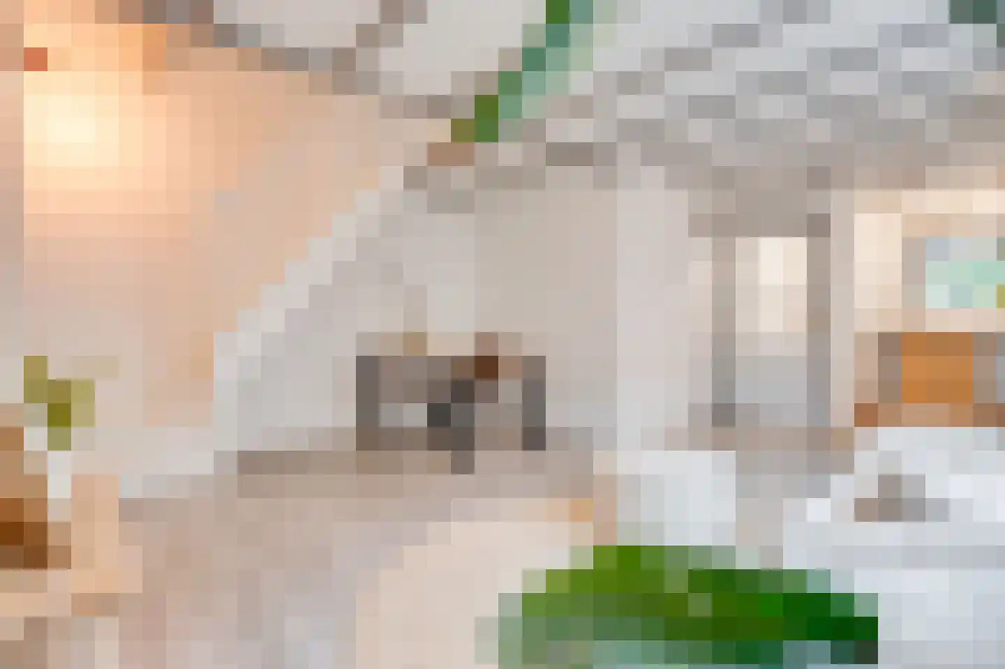 Juliana van Stolbergstraat 15 A Noord-Scharwoude thumbnail 6