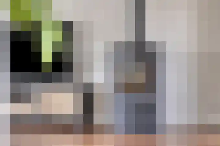 Juliana van Stolbergstraat 16 Drunen thumbnail 11