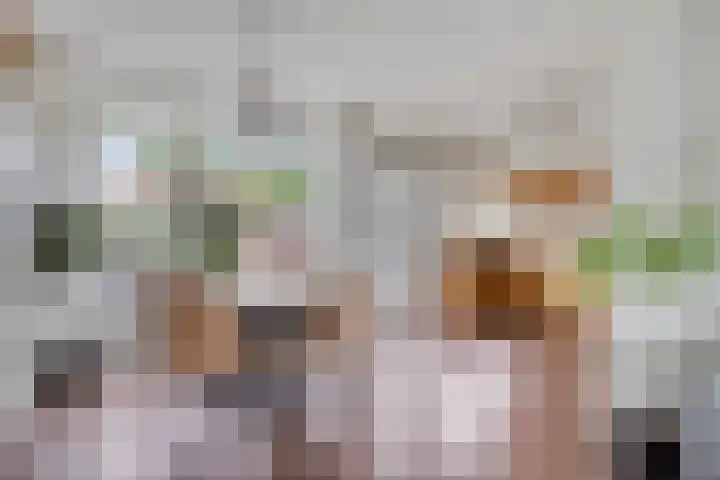 Juliana van Stolbergstraat 16 Drunen thumbnail 14