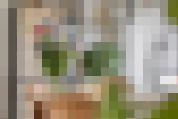 Juliana van Stolbergstraat 16 Drunen thumbnail 20