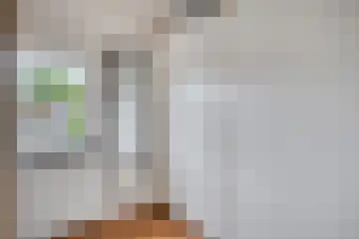 Juliana van Stolbergstraat 16 Drunen thumbnail 22