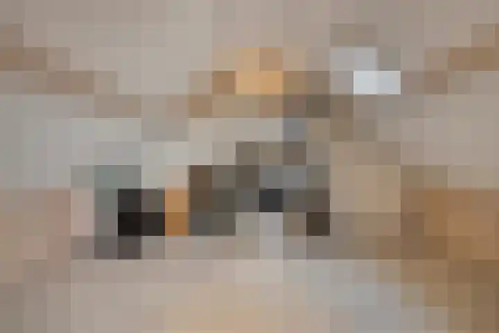 Juliana van Stolbergstraat 16 Drunen thumbnail 30