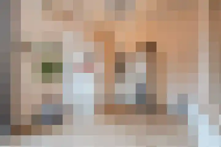 Juliana van Stolbergstraat 18 Terneuzen thumbnail 11