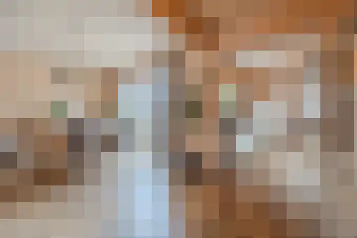 Juliana van Stolbergstraat 18 Terneuzen thumbnail 12
