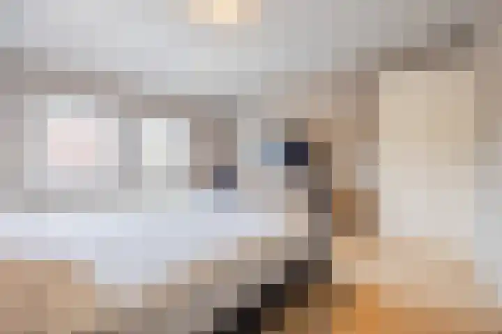 Juliana van Stolbergstraat 18 Terneuzen thumbnail 18