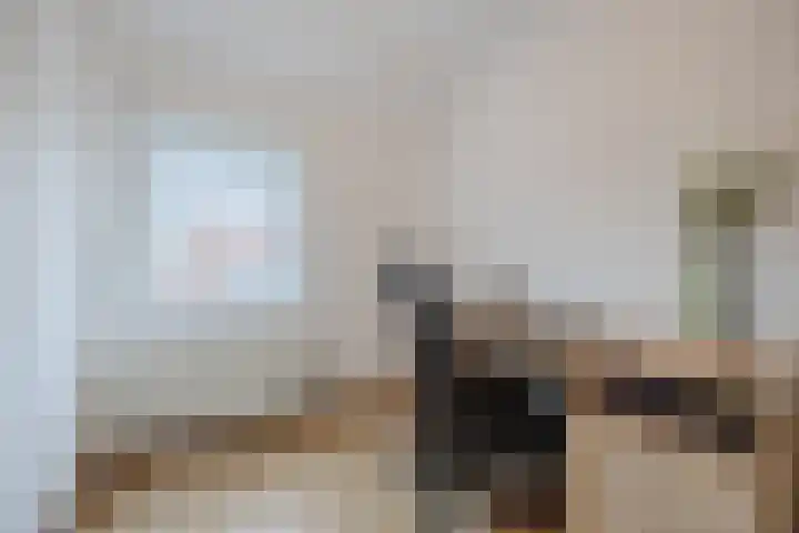 Juliana van Stolbergstraat 18 Terneuzen thumbnail 21