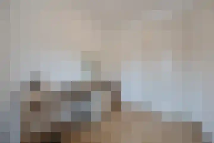 Juliana van Stolbergstraat 18 Terneuzen thumbnail 22