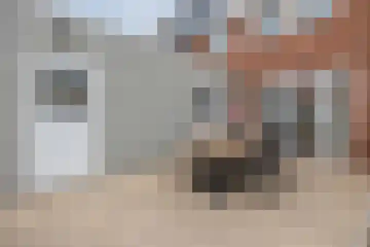 Juliana van Stolbergstraat 18 Terneuzen thumbnail 24