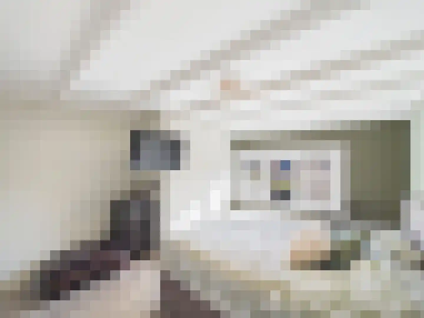 Juliana van Stolbergstraat 27 Terneuzen thumbnail 18