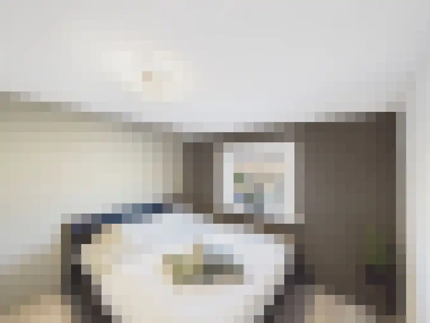 Juliana van Stolbergstraat 27 Terneuzen thumbnail 20